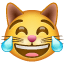 Kissan ilonkyyneleet emoji U+1F639